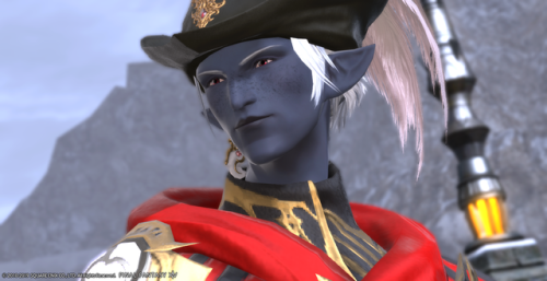 ffxiv-swarm:Evrard Briardionne, leader of Vidofnir’s Wings, seen here in dress robes. Not pict