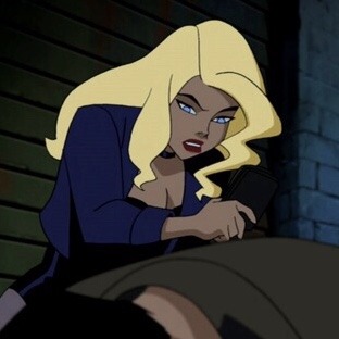 Justice League Unlimited Dinah Lance Icon Pack