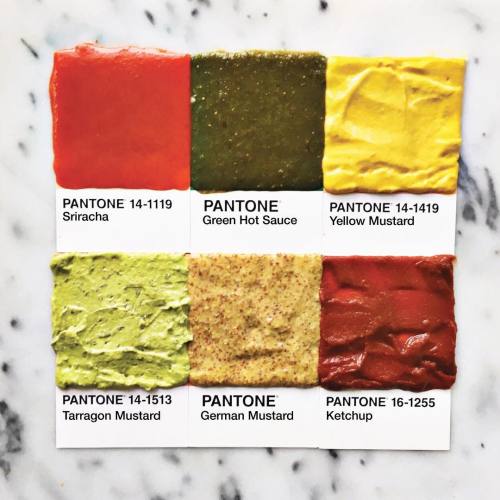 nevver:  Pantone by Lucy 