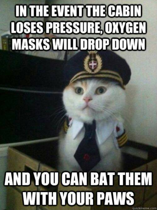 bestfunnystuffs:  follow bestfunnystuffs for more funny stuff
