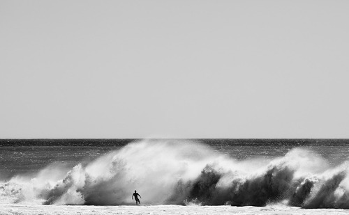 I Surf Because...