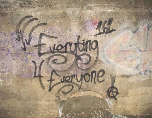 ‘Everything 4 Everyone’ in Elm City, Connecticut
