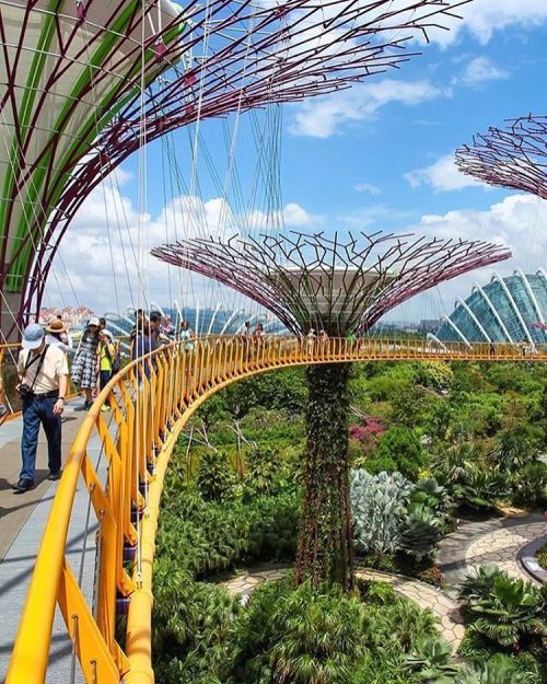 @ivanaljubas talking a walk down the Gardens By the Bay, Singapore. Who would you love to walk here 