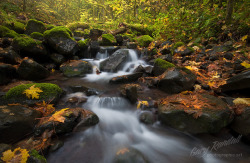 Neptunesbounty:  Autumn Creek By Gary Randall On Flickr.