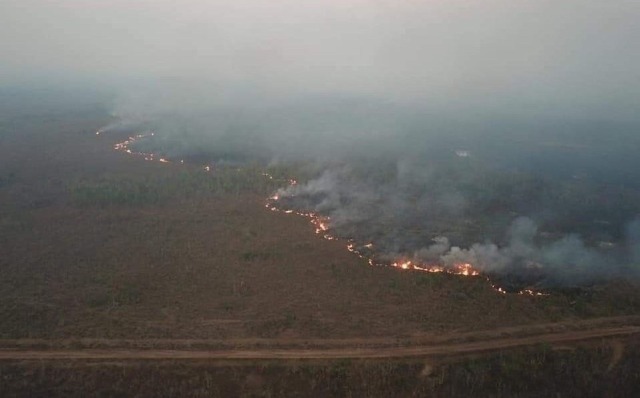 don-cosciotte:      So, our Lung is on fire.  It is already threatened by huge deforestation, to the point it lost 20% of its wildth in less than 30 years.  It’s been burning for around two weeks and almost no word has been uttered about it. I, sincerely,