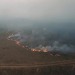 doncosciotte:So, our Lung is on fire. It is already threatened by huge deforestation,