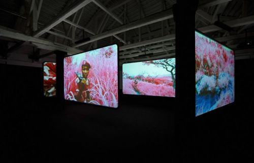 Infra, by Richard Mosse.Richard Mosse’s photography captures the beauty and tragedy in war and destr