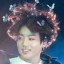 jjkbutterfly9777