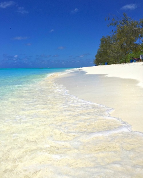 oceaniatropics: North West Island, Queensland, Australia by Mark Fitz  