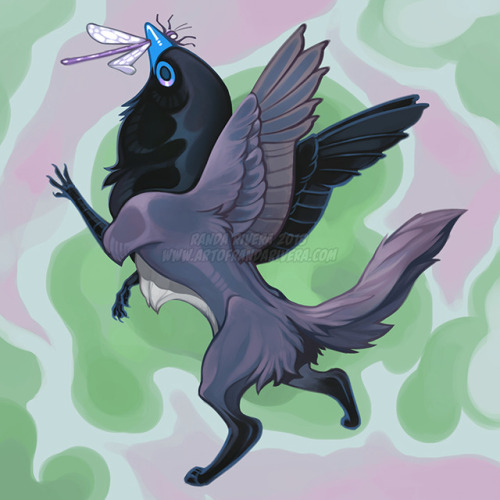 Tiny griffin based off of a Japanese Paradise Flycatcher.