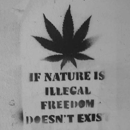 420insidevibes:  Marijuana quote