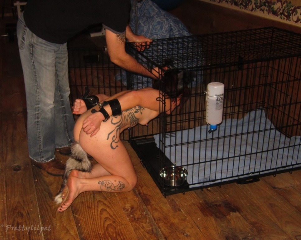 The Human Menagerie