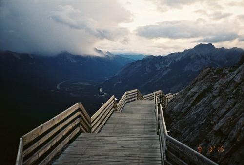 Some film from the archives.Alberta, Canada.twitter / instagram