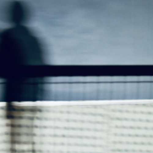 zzaphotoaday