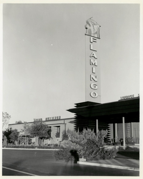 vintagelasvegas:  The Flamingo Hotel, 1947 with it’s second sign. The resort flopped when Ben “Bugsy” Siegel opened December 26, 1946. Siegel reopened the resort on March 1947 and was shot and killed June 1947.  Within minutes of the shooting,