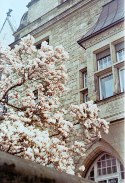 englishsnow:  { spring in Leipzig }