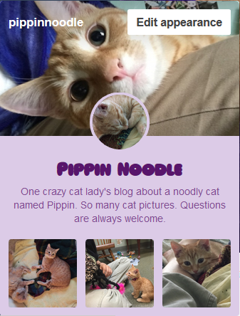 fullbattleregalia:I’ve started a new side blog, Pippin Noodle, strictly dedicated to cute pictures a