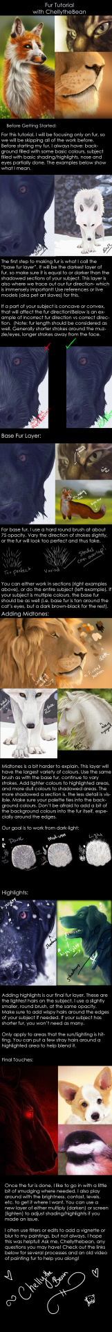 Fluffy Fur Tutorials