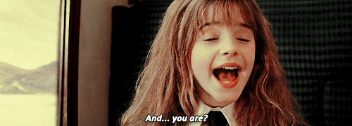 Harry Potter Daily