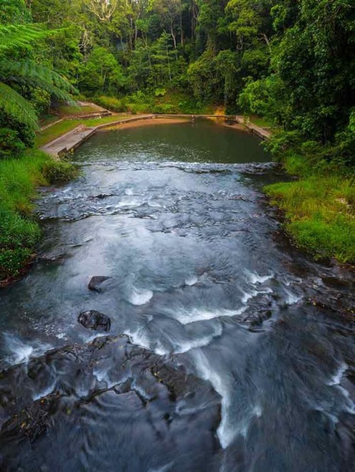 oceaniatropics:  Malanda Falls and swimming hole, queensland, australia