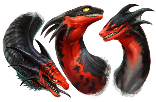 tetramera:some dragons!