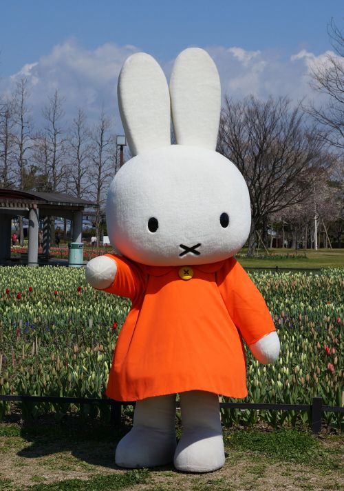 azflashjp:みなさんがよく知っている「ミッフィー」の写真でも。岐阜県海津市の木曽三川公園で春のチューリップ祭のときに登場したのを撮りました。かなり耳が分厚い着ぐるみでした。“Miffy”.Th