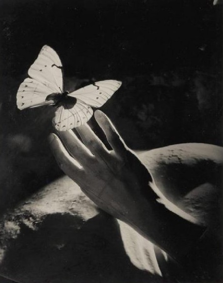 zielenadel:Peter Rose Pulham . Surrealist studies with hands and butterflies . 1930 - 1939