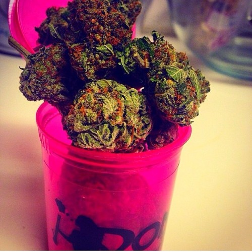 Good vibes & Stoney eyes