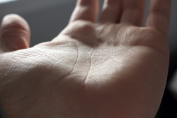 imsimplymarco:Am I the only one who is seriously interested in the patterns on their hand? These random lines that make up our identity and distinguish us from 7 billion people. All the valleys and ridges yet still soft to the touch. I don’t know about