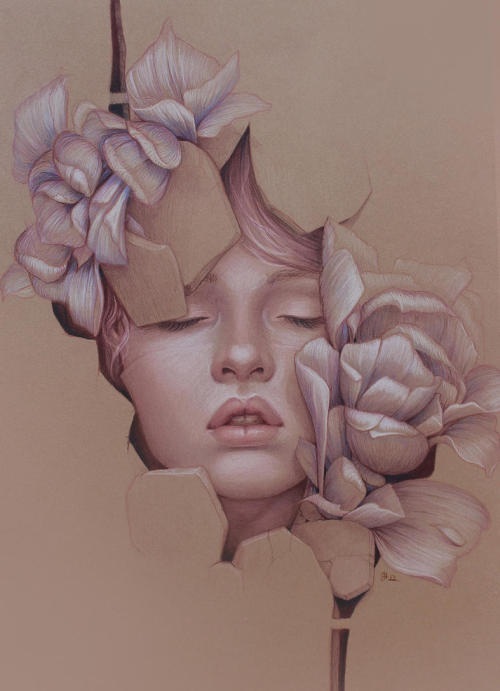 Colored pencil illustrations by Jennifer Healy. 2013.| Exquisite art, 500 days a year. |