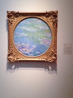 neonblosssom: stared at monet’s Water Lilies for a while today 