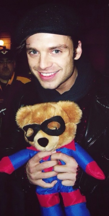 buckybarneswho:SebStan + Bucky bears/stuffed animals