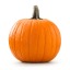 pumpkin-twst