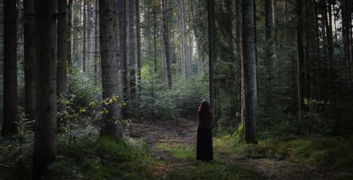 natural-magics: Forest portrait by Sarah Gallaun