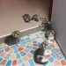 catasters: