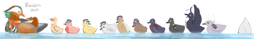 aonik: Touken birbs The amount of adorablility is killing me