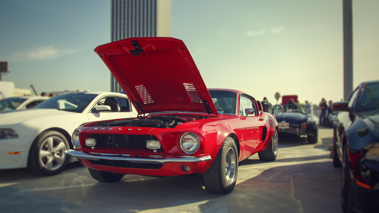 yessir-youarefat:  Shelby GT500 widebody Carroll Shelby Cruisein, Petersen Automotive