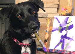 jencorpsichord:  i can’t believe they taught a dog to paint evangelion fanart 