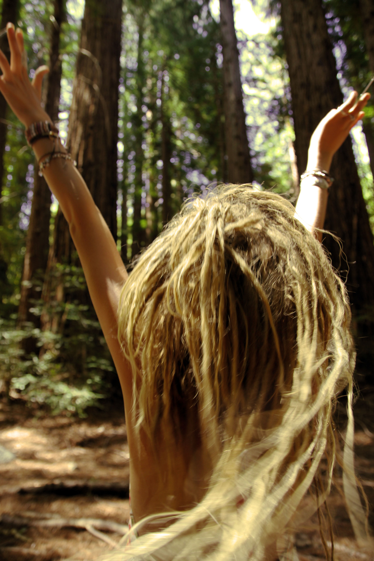 dayzea:  Dancing around the Redwood trees today. 