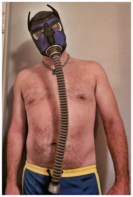 Love this picture of Pup Bouncer who’s combined his neoprene pup hood with a gas