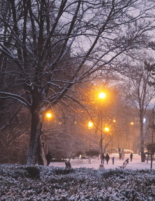 Park Lužánky, Brno