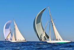 yachts racing