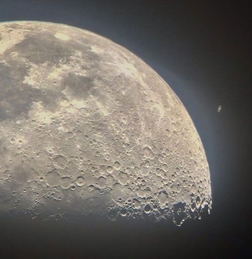 wrappedallinwoe: Saturn appearing from behind the Moon