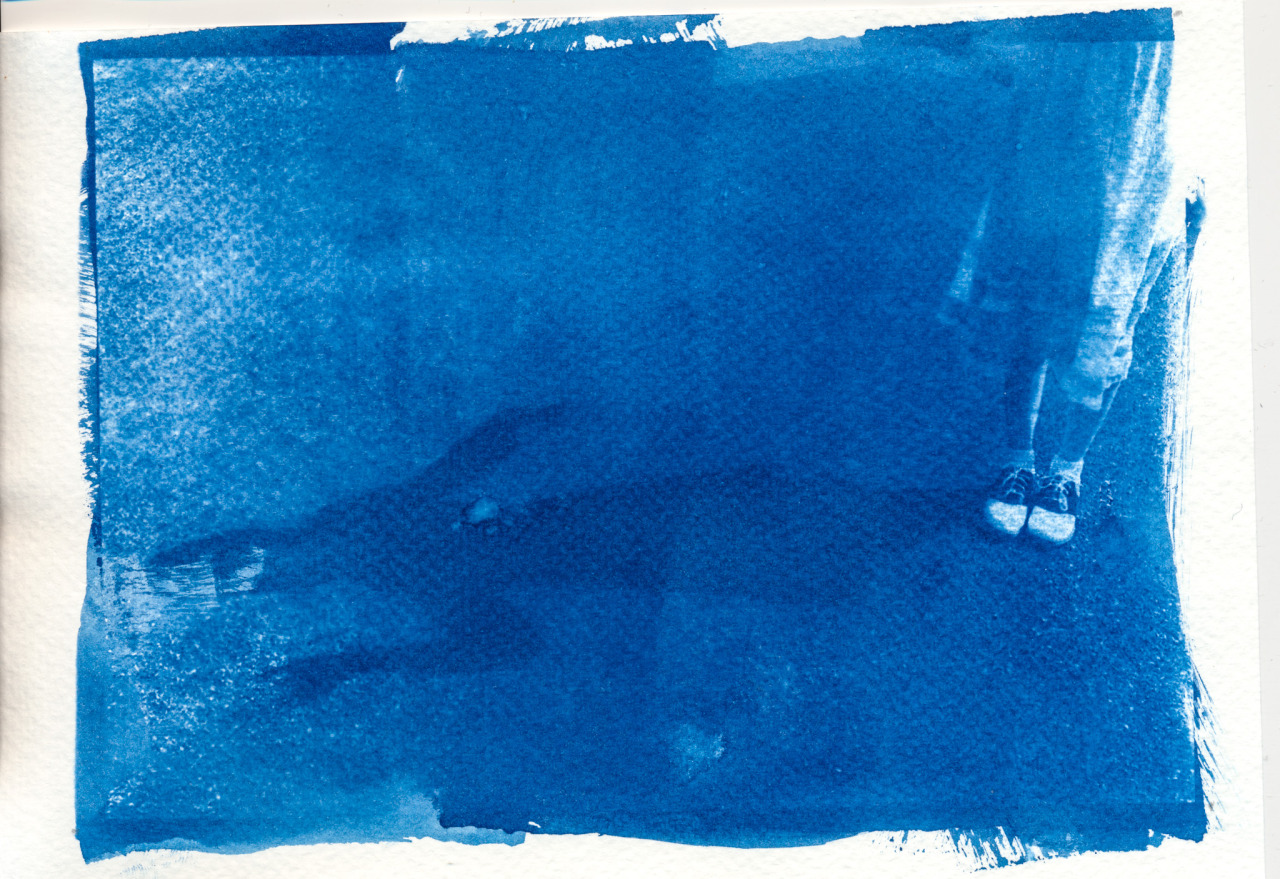 What Is A Cyanotype? — Sarah May