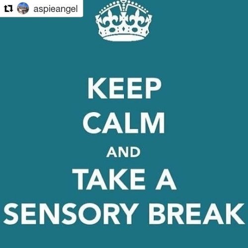 #Repost @aspieangel (@get_repost)・・・Dude. The. Holidays. Are. Over. #sensorybreak #sensorymeltdown #