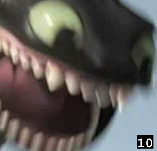 Which Toothless Are You Today?