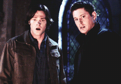 deancaneatmypie-deactivated2018:Happy Birthday to the wonderful and beautiful Penny <3