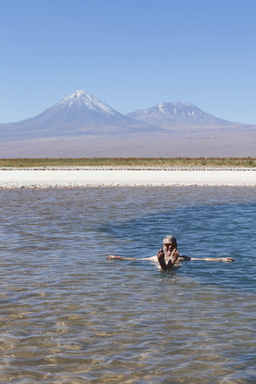geologicaltravels:2016: Laguna de Piedras on the Atacama salar, with the magnificent altiplano to th