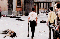 XXX walkingdixon:  Where is she?  photo