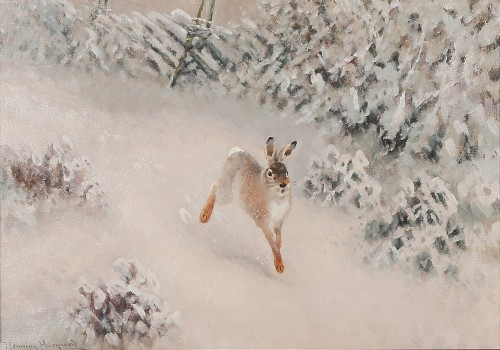 myfairynuffstuff:Henning Hougaard (1922 - 1995) - Hare in the Snow. Oil on canvas.